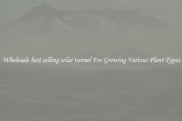 Wholesale best selling solar tunnel For Growing Various Plant Types