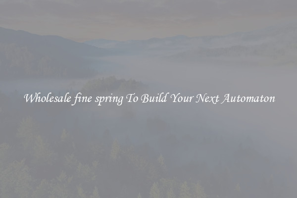 Wholesale fine spring To Build Your Next Automaton