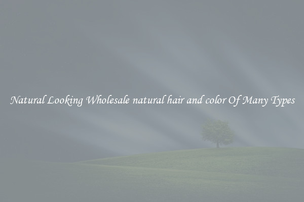 Natural Looking Wholesale natural hair and color Of Many Types