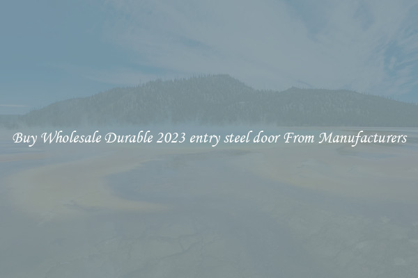 Buy Wholesale Durable 2023 entry steel door From Manufacturers