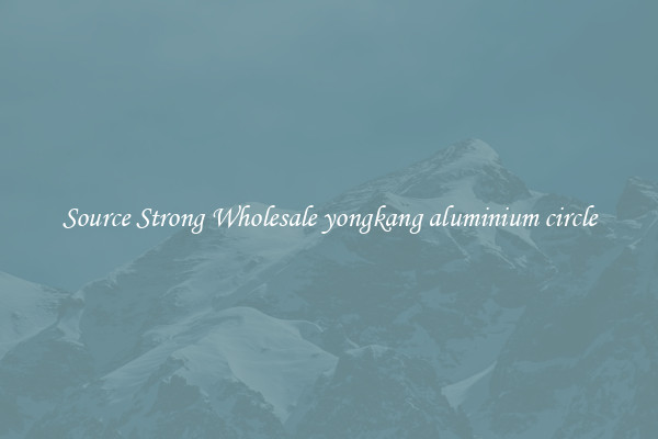 Source Strong Wholesale yongkang aluminium circle