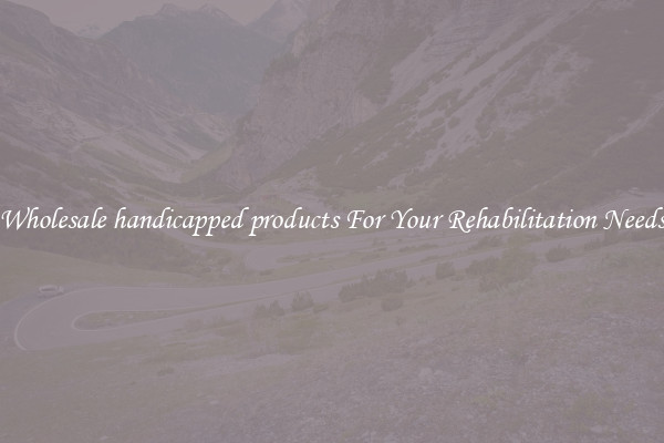 Wholesale handicapped products For Your Rehabilitation Needs