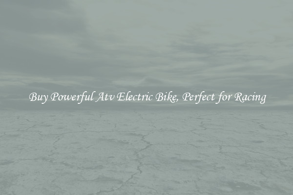 Buy Powerful Atv Electric Bike, Perfect for Racing