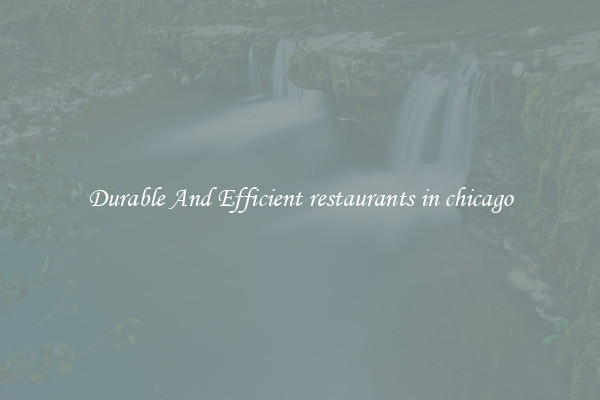 Durable And Efficient restaurants in chicago