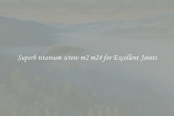 Superb titanium screw m2 m24 for Excellent Joints