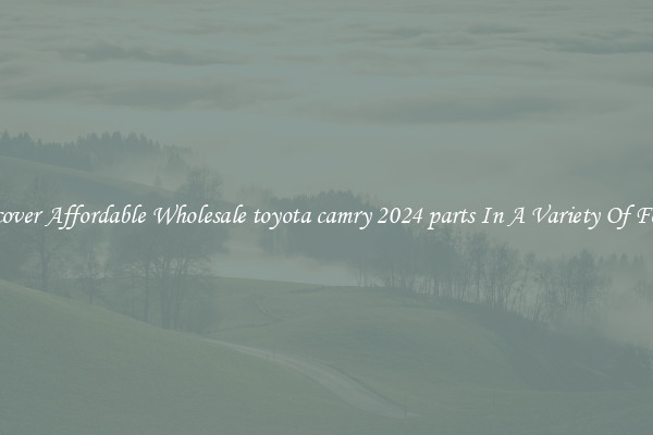 Discover Affordable Wholesale toyota camry 2024 parts In A Variety Of Forms