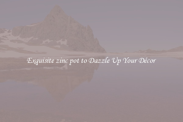 Exquisite zinc pot to Dazzle Up Your Décor 