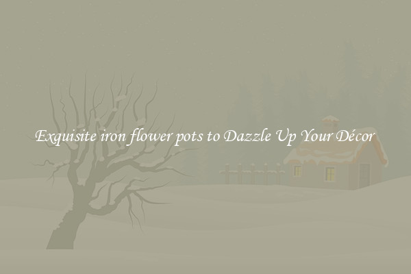 Exquisite iron flower pots to Dazzle Up Your Décor 