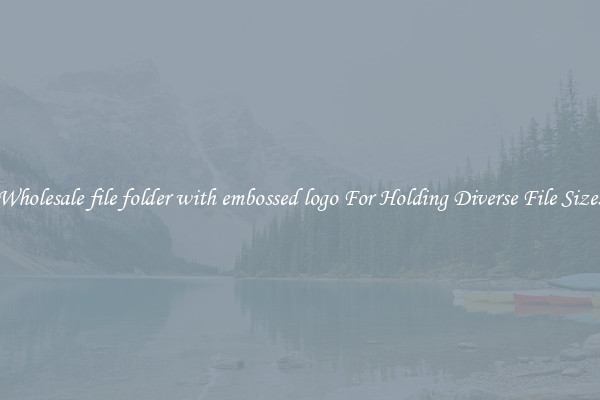 Wholesale file folder with embossed logo For Holding Diverse File Sizes