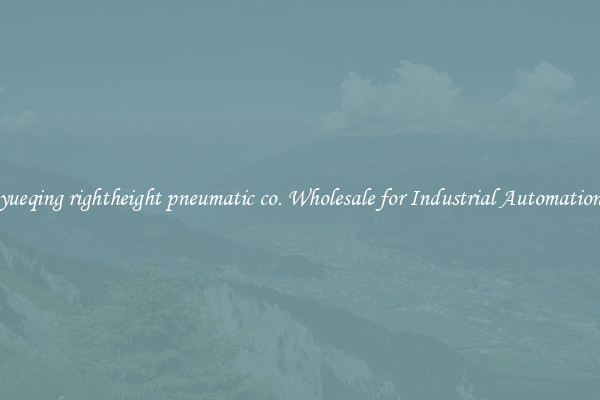  yueqing rightheight pneumatic co. Wholesale for Industrial Automation 