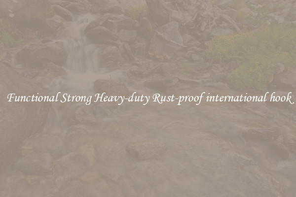 Functional Strong Heavy-duty Rust-proof international hook