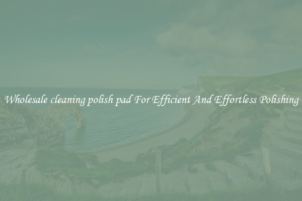 Wholesale cleaning polish pad For Efficient And Effortless Polishing