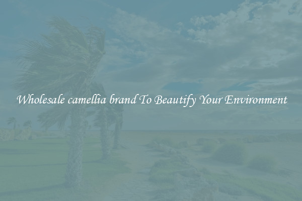 Wholesale camellia brand To Beautify Your Environment