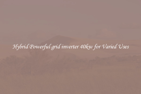 Hybrid Powerful grid inverter 40kw for Varied Uses