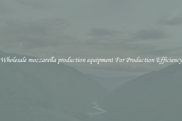 Wholesale mozzarella production equipment For Production Efficiency